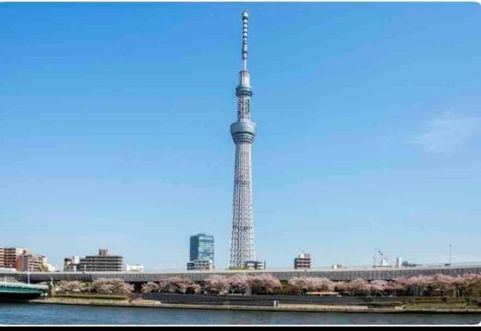 Momo Palace Tokyo Oda fotoğraf